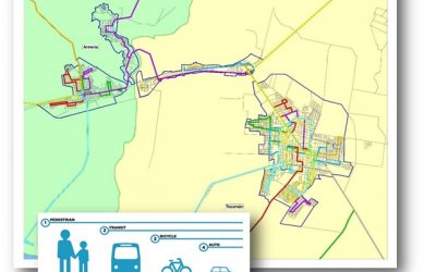 Plan Integral de Movilidad Urbana Sustentable para la Zona Metropolitana de Tecomán y Armería. Colima México (Noviembre 2012 – Noviembre 2013)